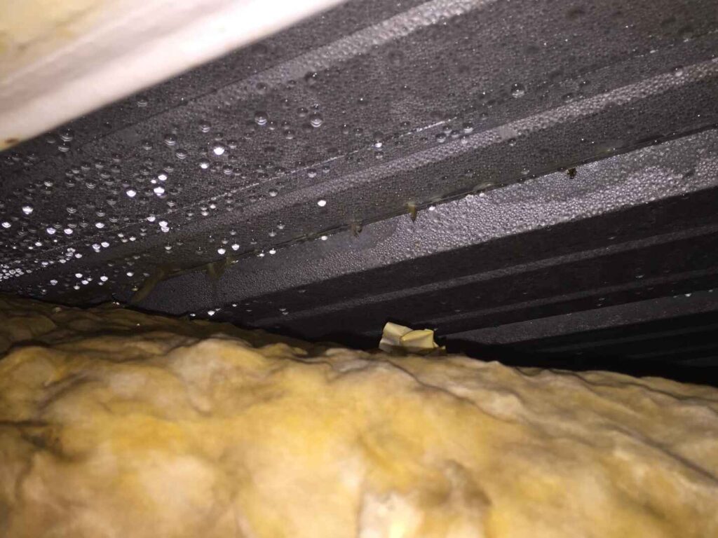 Water Damaged Insulation