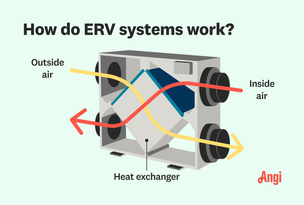 How Do ERVs Work