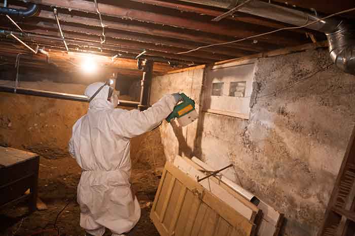 Professional Crawl Space Mold Removal