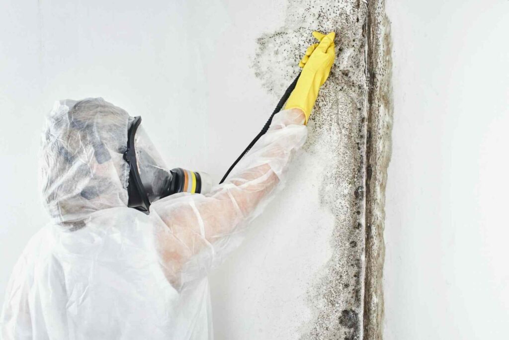 Removal of Mold from Insulation