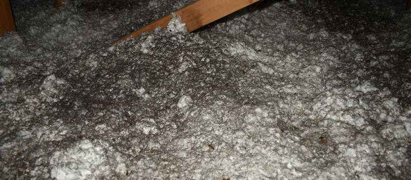 What Causes Mold Growth on Insulation