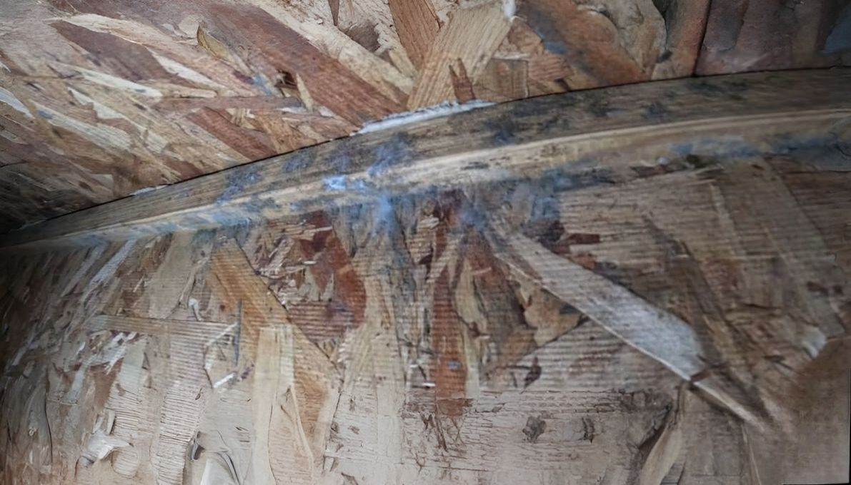 What Causes Mold in Crawl Space