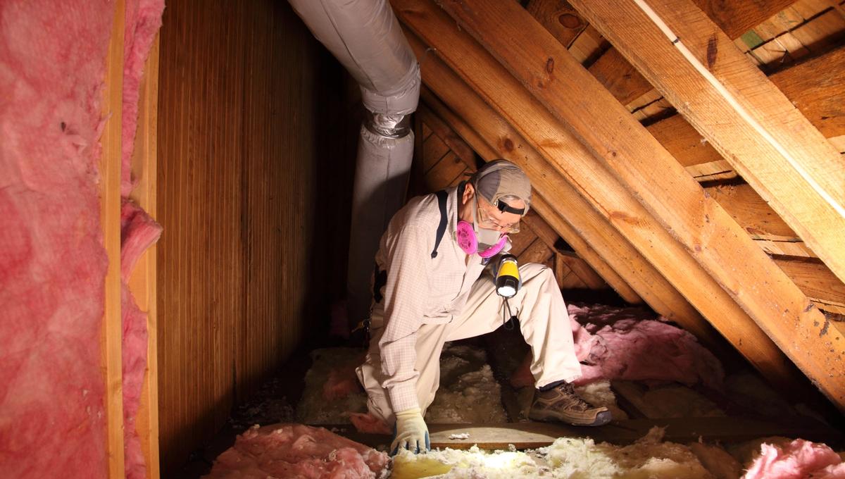 What Is the Best Insulation for Attic