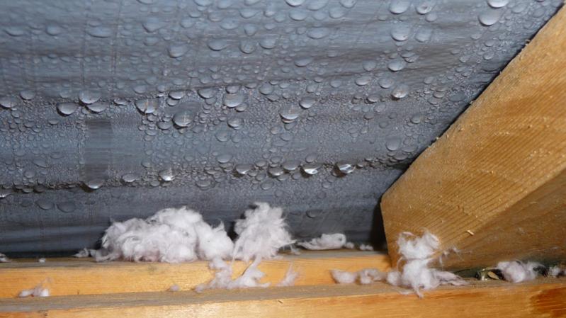 Is Your Roof Leaking or Just Condensation