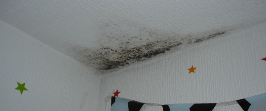 condensation on ceiling