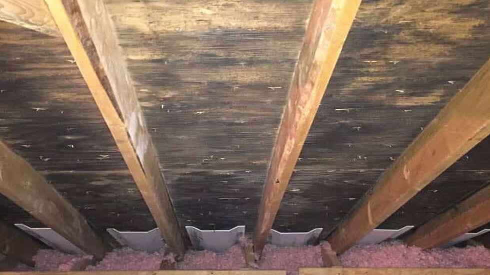 mold growth and rust damage in attic